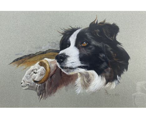 D B Smith of Sleights (Late 20th century): Sheep Dog and Rams Head, watercolour portrait study signed and dated 33cm x 48cm