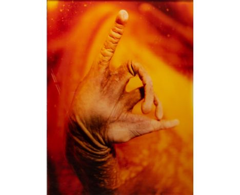 Daniel &amp; Geo Fuchs (XX-XXI) Titled 'conserving animals'. Cibachrome print (photographie) Signed and dated 1999. Numbered 