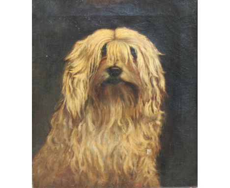 19th C. Portrait of a Dog. Oil on Canvas. Appears to be unsigned, has not been examined out of the frame. Sight Size: 15.5 x 