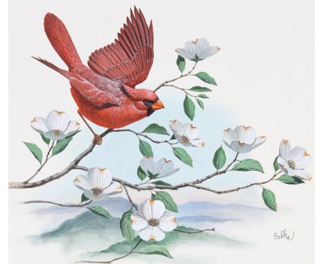 Don Balke (North Carolina, B. 1933) "Cardinal and Flowering Dogwood" Signed lower right. Original Watercolor on Illustration 