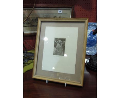 David Beattie (contemporary artist) limited edition etching 'Abrey's Ewe' 41/150, framed 