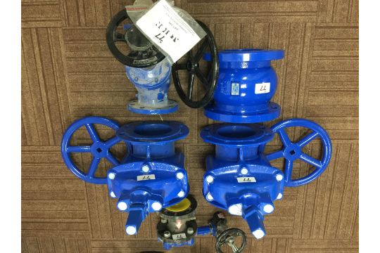 Ballorex Venturi type FODRV size DN65, 2 x AVR BS5163 - 1 TYPE B 2 ...