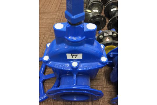 Ballorex Venturi type FODRV size DN65, 2 x AVR BS5163 - 1 TYPE B 2 ...