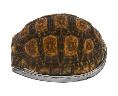 A George III silver mounted Star Tortoise shell carapace table snuff box London, 1803, Thomas Phipps & Edward Robinsonplain m