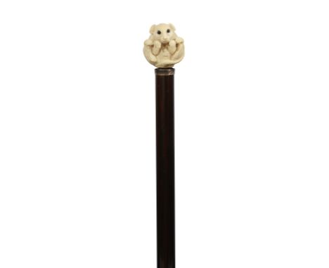 An Edwardian novelty walking stickthe Japanese carved ivory pommel in the form of a rat curled in a ball with glass eyes, whi