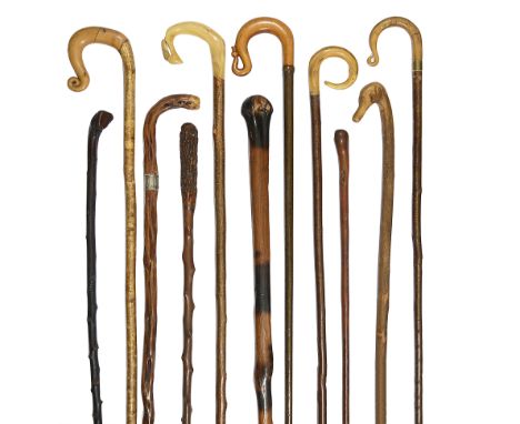 A collection of Victorian and later hedgerow walking sticksto include hazel, blackthorn, and briarwood stick, some with horn 