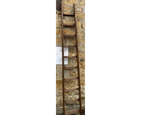 A ten rung vintage stepladder 