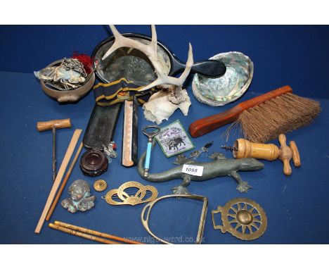 A box of miscellaneous to include skeleton head and antlers, tortoise shell case cover a/f, metal lizard, cork screws, geomet