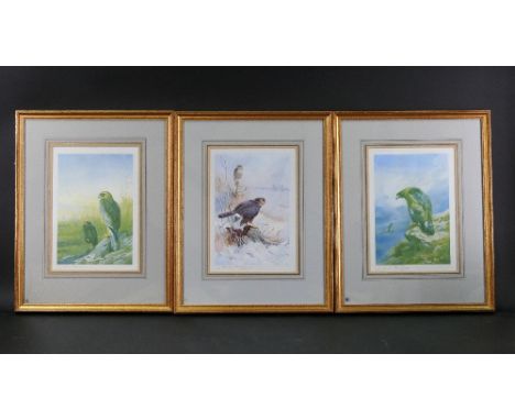 Archibald Thorburn (1860-1935), twelve signed artist proofs, depicting birds of prey, all with Fine Art Trade Guild blind sta