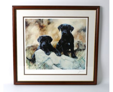 John Trickett, a signed limited edition print of two Black Labrador puppies 68/850, 37 x 43 cm, framed and mounted.