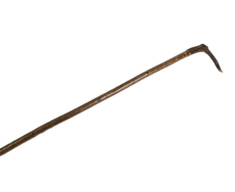 A hazel shafted walking stick with Red Stag antler handle, length 125 cm.