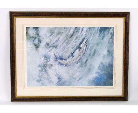 Robin Armstrong a signed limited edition print of a leaping salmon.  251/500 dated 1988.  47 x 33 cm, framed and mounted.