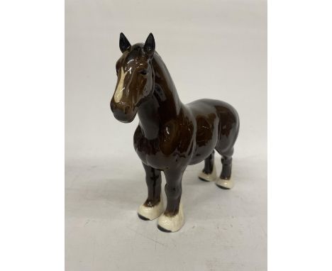 A BESWICK MODEL OF A SHIRE HORSE BLOWN GLOSS WITH WHITE BLAZE AND WHITE SOCKS - BURNHAM BEAUTY 