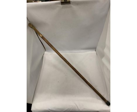 A WALKING STICK WITH AN EAGLE'S HEAD HANDLE 