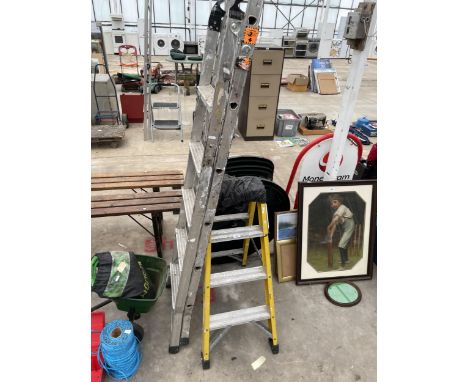 A MULTIFUNCTION FOLDING LADDER AND A THREE RUNG METAL STEP LADDER 