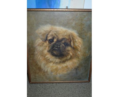 A. Shenton, signed oil on board, portrait of a Pekinese dog, 13.5ins x 11.5ins