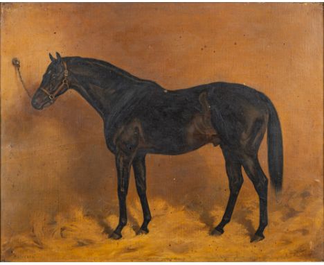 *Alfred Grenfell Haigh (British, 1870-1963)Macheath - Portrait of a racehorse, 1895signed and inscribedoil on canvas39.5 x 50