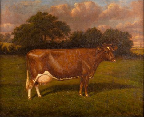 W.A.Clank (British, 20th Century) Portrait of a cow 'Stagenhoe Rose of Gold' oil on canvas42 x 52cmsigned lower right and dat