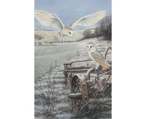 Robert E Fuller (British 1972-): 'Barn Owls at Thixendale', limited edition colour print signed and numbered 61/300 in pencil