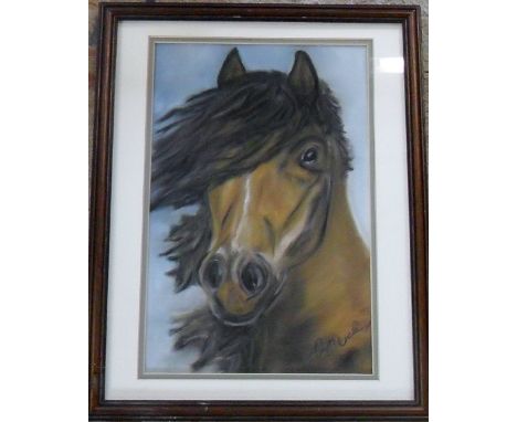 Pastel portrait of a horse entitled 'Lusitano' by Grimsby artist Colin Wells 31 cm x 39 cm