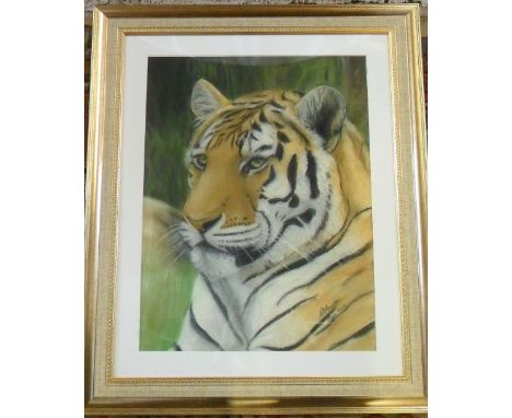 Pastel portrait of a tiger by local Lincolnshire artist C A Howe 49 cm x 60 cm