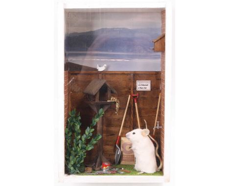 An anthropomorphic taxidermy White mouse (Mus musculus), modelled standing in a garden setting with bird cage and tools, with