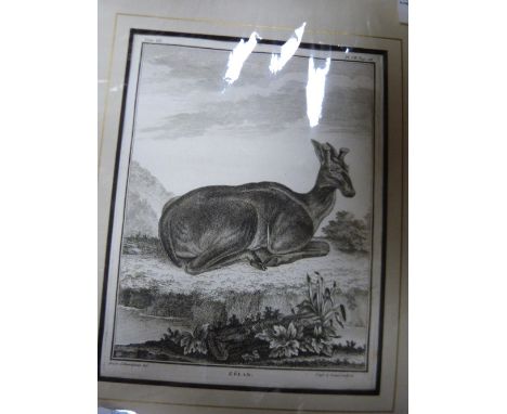18th and 19th century French engravings of animals and rural scenes, a hand coloured lithograph, and framed watercolour sketc