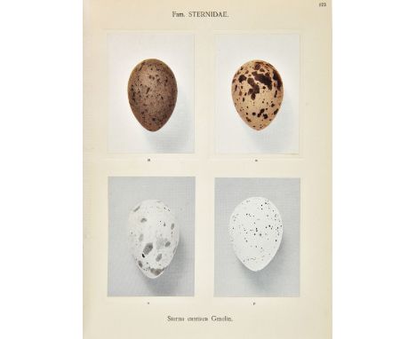 Lechner (Arnold A. van Pelt). "Oologia Neerlandica". Eggs of Birds breeding in the Netherlands, 2 volumes, 1st edition, The H