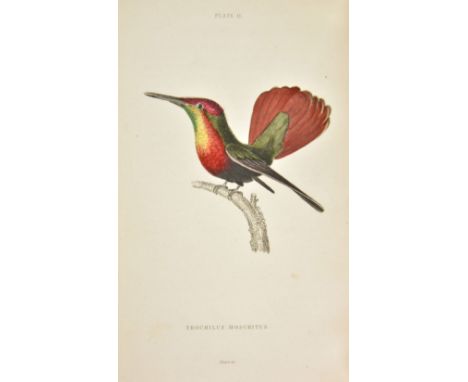 Jardine (Sir William). The Natural History of Humming-Birds, The Naturalist's Library series, 2 volumes, 1st edition, Edinbur