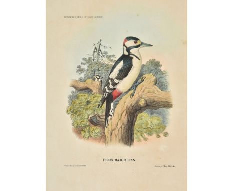 Turnbull (William P.). The Birds of East Lothian and a Portion of the Adjoining Counties, 1st UK edition, large-paper issue, 