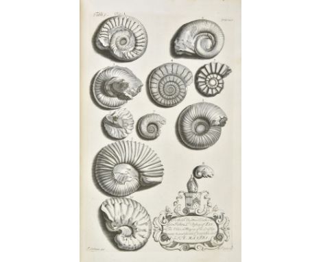 Morton (John). The Natural History of Northhampton-shire; With Some Account of the Antiquities. To which is Annex'd a Transcr