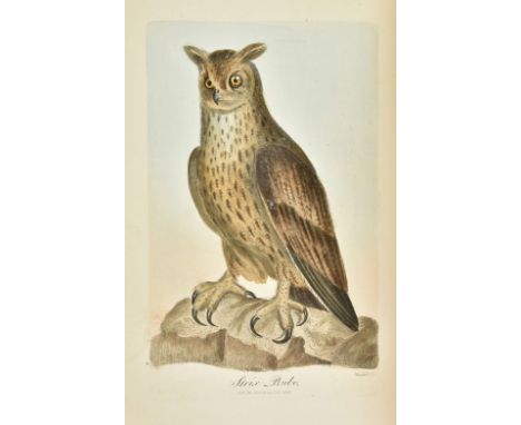 Graves (George). British Ornithology: being the History, with a Coloured Representation, of every kown [sic] Species of Briti