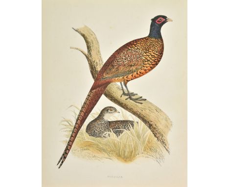 Morris (Beverley R.). British Game Birds and Wildfowl, 1st edition, Groombridge and Sons, 1855, 60 wood-engraved colour plate