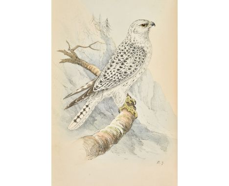 Meyer (Henry Leonard). Coloured Illustrations of British Birds, and their Eggs, 7 volumes, 1st octavo edition, G. W. Nickisso