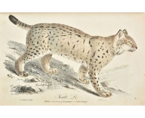 Nilsson (Sven). Illuminerader Figurer till Skandinaviens Fauna, 2 volumes, Lund: C. F. Berling, [1829]-40, half-title to volu