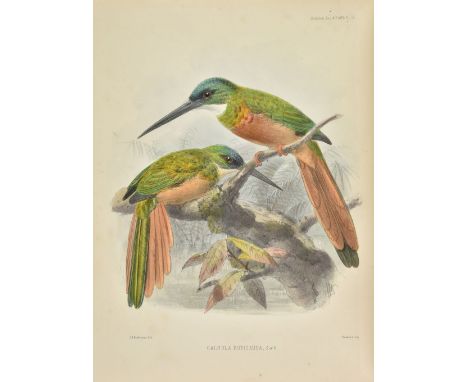 Sclater (Philip Lutley). A Monograph of the Jacamars and Puff-Birds, or Families Galbulidae and Bucconidae, 1st edition, for 