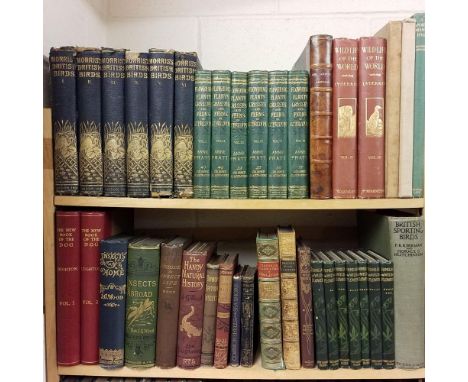 Morris (F.O.) . A History of British Birds, 6 volumes, 3rd edition, 1891, approximately 400 hand coloured plates, some minor 