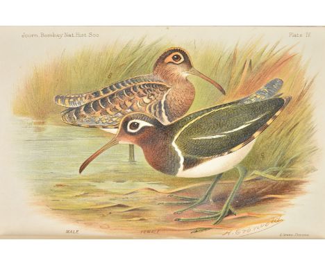 Baker (E. C. Stuart) . Indian Snipe, from the Bombay Natural History Society's Journal, 1911, 4 offprints in 1 volume, genera