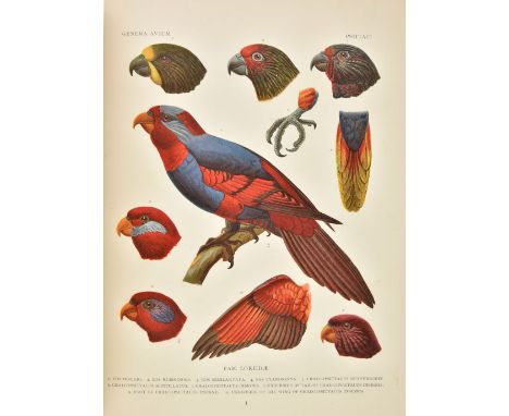 Wytsman (Philogène, editor). [Genera Avium], 1st edition, Brussels: V. Verteneuil &amp; L. Desmet, 1905-14, 26 parts in 1 vol