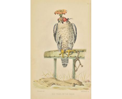 Salvin (Francis Henry, &amp; William Brodrick) . Falconry in the British Isles, 2nd edition ('revised and enlarged'), John va