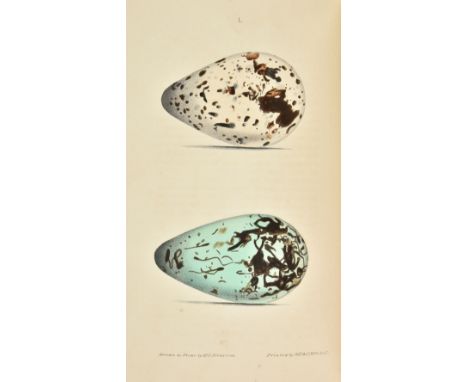 Hewitson (William C.). British Oology; being Illustrations of the Eggs of British Birds, 3 volumes (and supplement) in one, 1