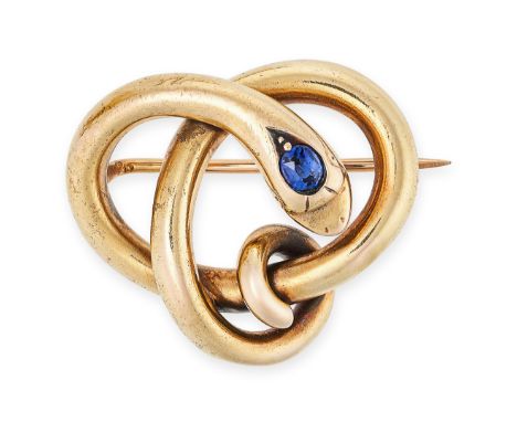 AN ANTIQUE SAPPHIRE SNAKE BROOCH in yellow gold, designed to depict a coiled snake, the head set with a cushion cut sapphire,