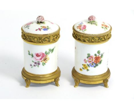 A Pair of Gilt Metal Mounted Sèvres Porcelain Toilet Pots and Covers, porcelain 18th century, mounts later, painted with flow