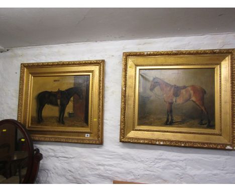 EQUESTRAIN PORTRAITS, pair of  portraits "Sunflower and Sweep", 1 signed Mable Allnutt 1899, other Mable Shone 1903, 16.5" x 