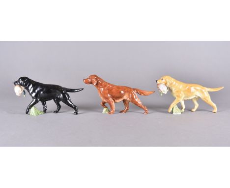 Three Royal Worcester figures of sporting dogs, including two labradors with game birds and an Irish Setter (3)