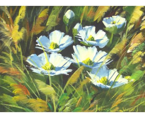 John R. Gatenby (20th/21st century contemporary) - 'Light & Shade, Mount Cook Lily', signed, also extensively inscribed verso