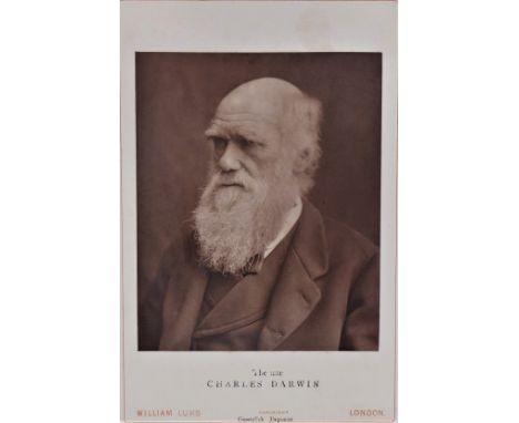 PHOTOGRAPH - CHARLES ROBERT DARWIN (1809-1882). Author of On the Origin of Species (1859), The Descent of Man (1870-71) & man