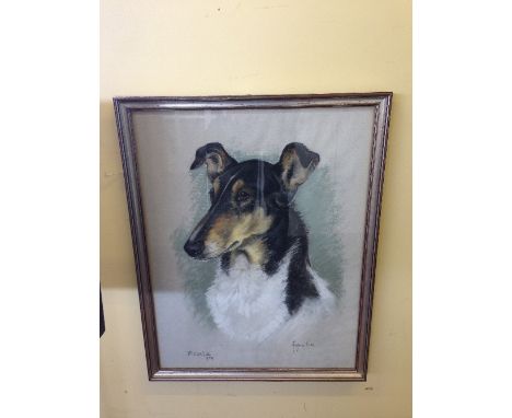 Marjory Cox: Framed and glazed pastel Dog portrait; Pickle.