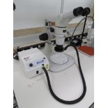 Nikon Microscope