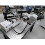 Nikon Microscope